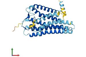 Protein Structure (PS) image for Olfactory Receptor, Family 12, Subfamily D, Member 2 (OR12D2) (AA 1-307) protein (His tag) (ABIN7550012)