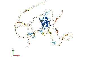 Protein Structure (PS) image for Forkhead Box H1 (FOXH1) (AA 1-401) protein (His tag) (ABIN7562640)