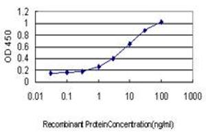 Detection limit for recombinant GST tagged SH3BP2 is approximately 0. (SH3BP2 抗体  (AA 452-561))