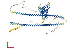 Protein Structure (PS) image for RAS and EF Hand Domain Containing (RASEF) (AA 1-627) protein (His tag) (ABIN7557510)