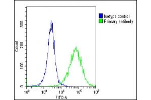 Overlay histogram showing Hela cells stained with (ABIN6243231 and ABIN6578796)(green line). (HSD17B10 抗体  (AA 14-48))