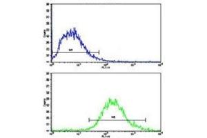 Flow cytometric analysis of Jurkat cells using MERTK antibody (bottom histogram) compared to a negative control (top histogram). (MERTK 抗体)