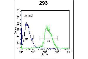 Flow cytometric analysis of 293 cells (right histogram) compared to a negative control cell (left histogram). (Dual Specificity Phosphatase 3 (DUSP3) (AA 157-185), (C-Term) 抗体)