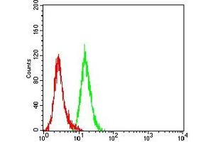 Flow cytometric analysis of Hela cells using MSLN mouse mAb (green) and negative control (red). (Mesothelin 抗体  (AA 37-286))