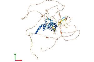 Protein Structure (PS) image for Aryl-Hydrocarbon Receptor Repressor (AHRR) (AA 1-701) protein (His tag) (ABIN7563696)