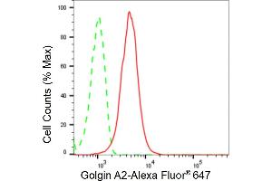 Flow cytometric analysis of Golgin A2 expression in HepG2 cells using Golgin A2 antibody (ABIN7798797), 1:2,000). (Recombinant Golgin A2 (GOLGA2) 抗体)