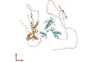 Protein Structure (PS) image for Zinc Finger Protein 131 (ZNF131) (AA 1-623) protein (His tag) (ABIN7545304)