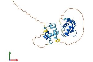 AlphaFold protein structure predicition of Mouse Recombinant Elf5 Protein, UniprotID Q8VDK3