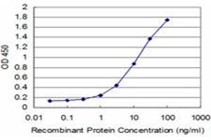 Detection limit for recombinant GST tagged HD is approximately 0. (Huntingtin 抗体  (AA 81-190))