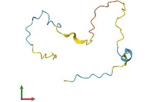 Protein Structure (PS) image for Small Muscle Protein, X-Linked (SMPX) (AA 1-85) protein (Fc Tag) (ABIN7561324)