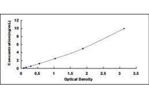 BMP Binding Endothelial Regulator (BMPER) ELISA Kit