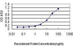 ELISA image for anti-PC4 and SFRS1 Interacting Protein 1 (PSIP1) (AA 1-51) antibody (ABIN599171) (PSIP1 抗体  (AA 1-51))