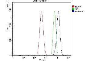 Flow Cytometry analysis of U87 cells using anti-Epac1/RAPGEF3 antibody (ABIN7601784). (RAPGEF3 抗体  (AA 451-698))