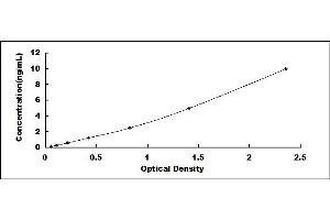 Typical standard curve (N-Cadherin ELISA 试剂盒)