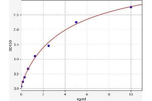 Typical standard curve (SCUBE1 ELISA 试剂盒)