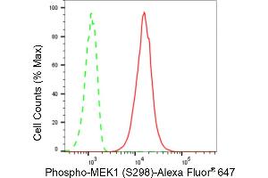 Flow cytometric analysis of Phospho-MEK1 (S298) expression in C2C12 cells using Phospho-MEK1 (S298) antibody (ABIN7799462), 1:2,000). (Recombinant MEK1 抗体  (pSer298))