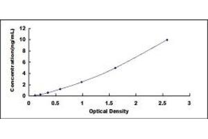 Typical standard curve (CCT2 ELISA 试剂盒)