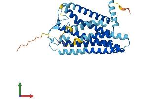 Protein Structure (PS) image for Olfactory Receptor, Family 3, Subfamily A, Member 1 (OR3A1) (AA 1-315) protein (His tag) (ABIN7550372)