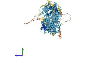 AlphaFold protein structure predicition of Mouse Recombinant Abca8a Protein, UniprotID Q8K442