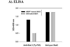 Image no. 3 for Signal Transducer and Activator of Transcription 3 (Acute-Phase Response Factor) (STAT3) ELISA Kit (ABIN625245)