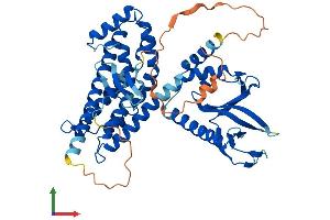 Protein Structure (PS) image for rho Guanine Nucleotide Exchange Factor (GEF) 4 (ARHGEF4) (AA 1-484) protein (His tag) (ABIN7558237)