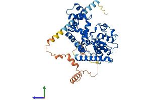 Protein Structure (PS) image for Carbohydrate (N-Acetylgalactosamine 4-0) Sulfotransferase 9 (CHST9) (AA 1-443) protein (His tag) (ABIN7553497)