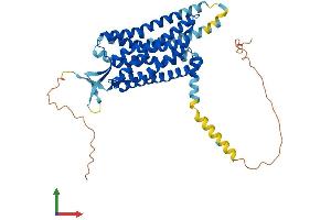 AlphaFold protein structure predicition of Mouse Recombinant Npffr2 Protein, UniprotID Q924H0