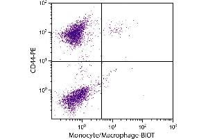 Chicken peripheral blood monocytes were stained with Mouse Anti-Chicken Monocyte/Macrophage-BIOT. (Macrophage/Monocyte 抗体 (Biotin))