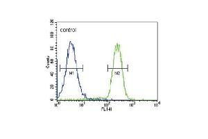HSD17B2 Antibody (Center) (ABIN651318 and ABIN2840185) flow cytometric analysis of MDA-M cells (right histogram) compared to a negative control cell (left histogram). (HSD17B2 抗体  (AA 265-294))