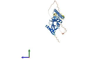 Protein Structure (PS) image for Ras Association (RalGDS/AF-6) Domain Family Member 4 (RASSF4) (AA 1-321) protein (His tag) (ABIN7551163)
