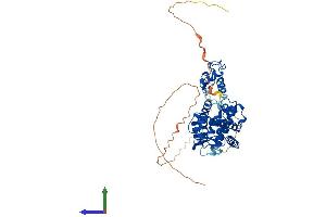 AlphaFold protein structure predicition of Mouse Recombinant Rarg Protein, UniprotID P18911