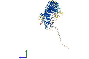 AlphaFold protein structure predicition of Mouse Recombinant Fbxl6 Protein, UniprotID Q9QXW0