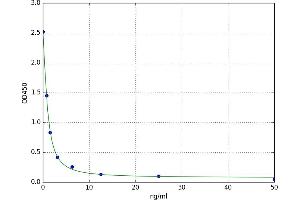 Methionyl Aminopeptidase 2 (METAP2) ELISA Kit