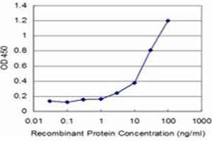 Detection limit for recombinant GST tagged FNTB is approximately 3ng/ml as a capture antibody. (FNTB 抗体  (AA 1-437))
