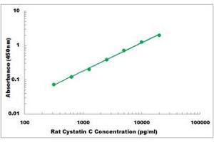 Representative Standard Curve
