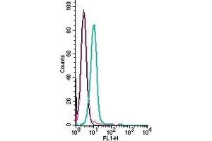 anti-Ret Proto-Oncogene (RET) (AA 541-553), (Extracellular) antibody
