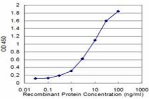 Detection limit for recombinant GST tagged MYOC is approximately 0. (MYOC 抗体  (AA 1-504))