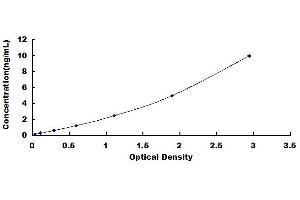 Typical standard curve (RBM3 ELISA 试剂盒)