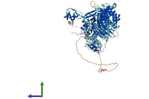 AlphaFold protein structure predicition of Mouse Recombinant Myo1e Protein, UniprotID E9Q634