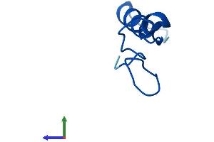 Protein Structure (PS) image for Ribosomal Protein L39-Like (RPL39L) (AA 1-51) protein (Fc Tag) (ABIN7551442)