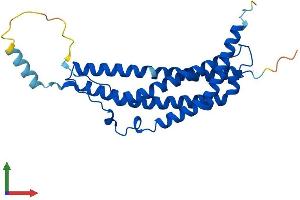 Protein Structure (PS) image for Proteasome (Prosome, Macropain) Activator Subunit 1 (PA28 Alpha) (PSME1) (AA 1-249) protein (His tag) (ABIN7551105)
