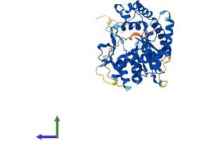 Protein Structure (PS) image for Galactose-3-O-Sulfotransferase 3 (GAL3ST3) (AA 1-431) protein (His tag) (ABIN7556582)