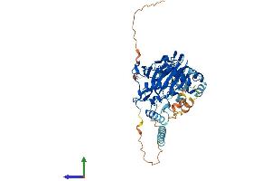 Protein Structure (PS) image for Prolyl 4-Hydroxylase, Transmembrane (Endoplasmic Reticulum) (P4HTM) (AA 1-502) protein (His tag) (ABIN7550404)