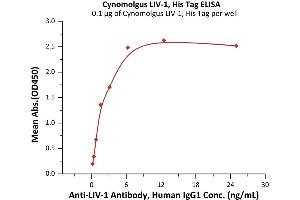 ELISA image for Solute Carrier Family 39 (Zinc Transporter), Member 6 (SLC39A6) (AA 21-309) (Active) protein (His tag) (ABIN6992405)