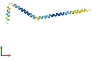 AlphaFold protein structure predicition of Human Recombinant G0S2 Protein, UniprotID P27469