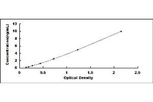 Typical standard curve (Cytokeratin 18 ELISA 试剂盒)