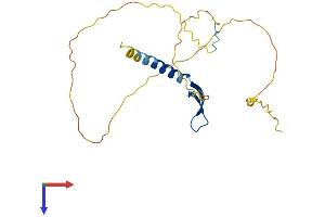 BCL7A Protein (AA 1-210) (His tag)