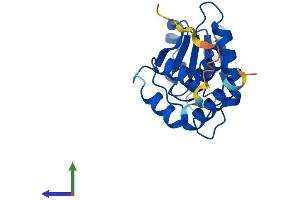 Protein Structure (PS) image for Dual Specificity Phosphatase 13 (DUSP13) (AA 1-188) protein (His tag) (ABIN7557904)