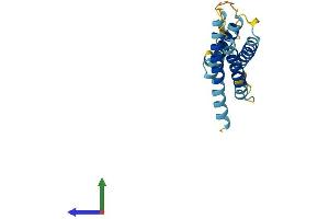 Protein Structure (PS) image for CKLF-Like MARVEL Transmembrane Domain Containing 8 (CMTM8) (AA 1-173) protein (His tag) (ABIN7560800)