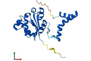 Protein Structure (PS) image for NME/NM23 Family Member 5 (NME5) (AA 1-211) protein (His tag) (ABIN7560406)